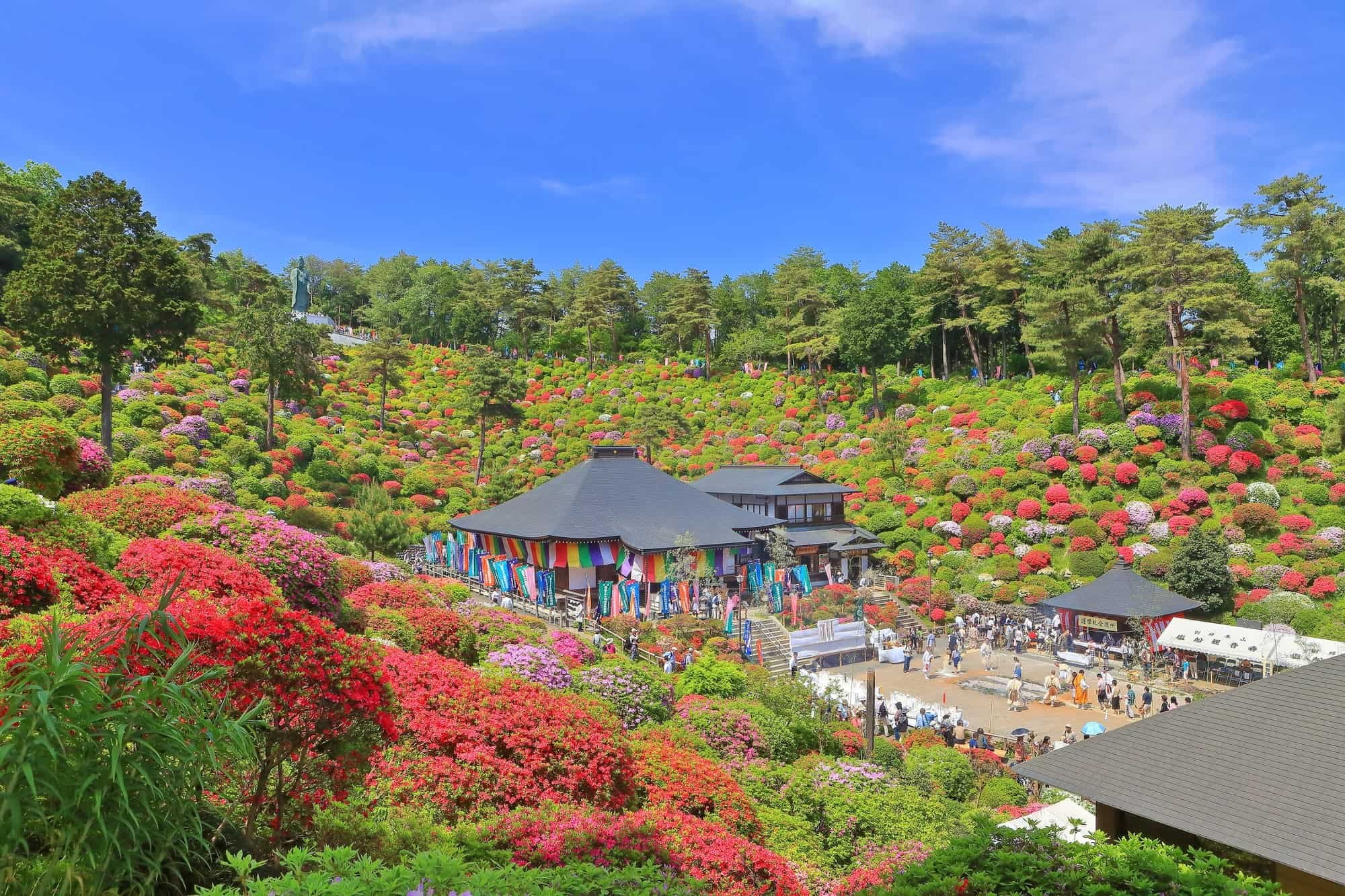 🏯 감응사 (칸노지) 이미지 4